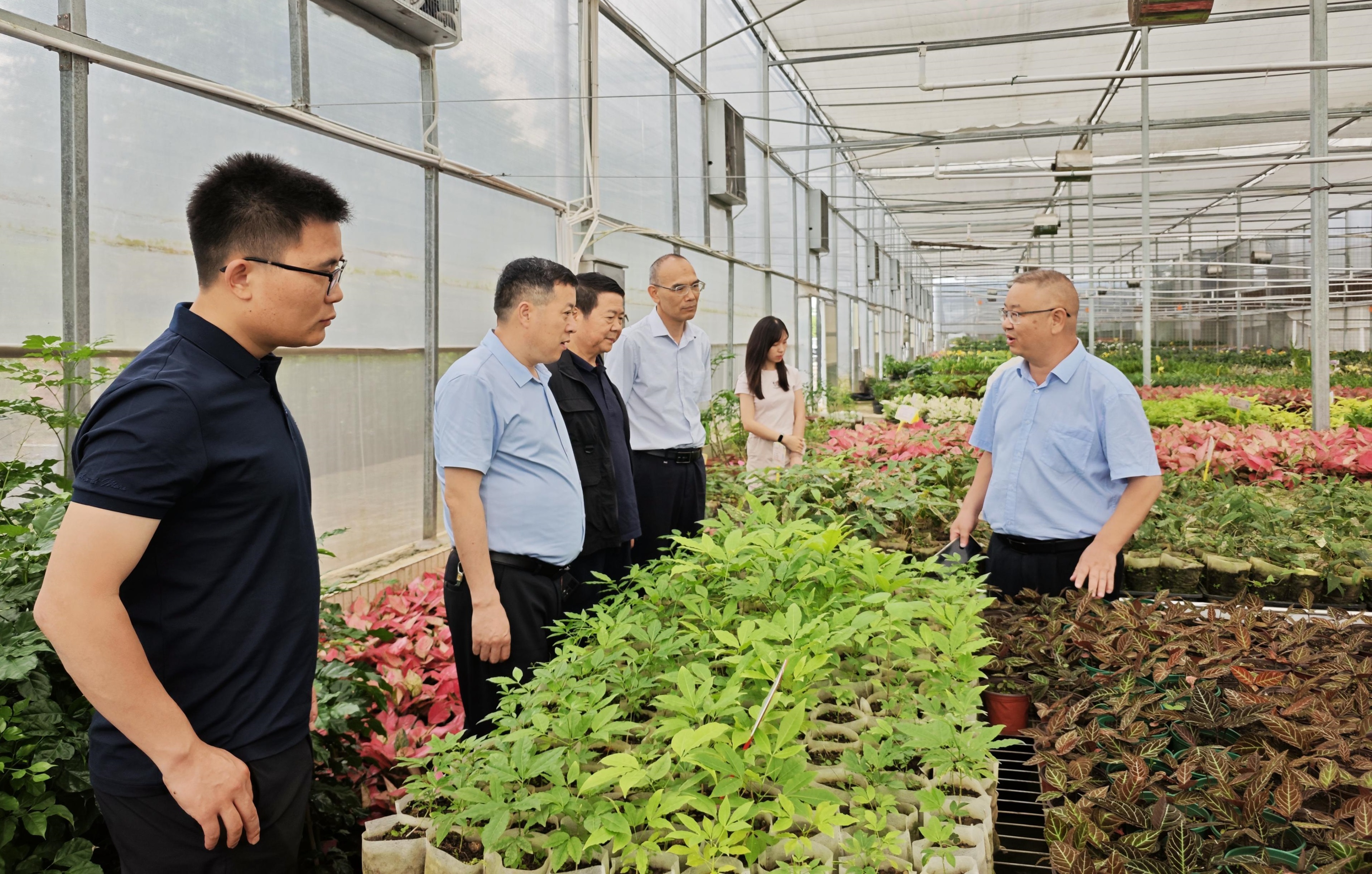 调研广西林科院园林花卉研究所苗圃.jpg